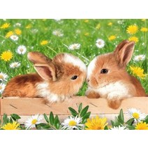 보석십자수 사각 원형 토끼 꽃밭 플라워 튤립 인테리어 수능 선물 자가격리 보석자수, 풀 스퀘어 50X70cm, 9942