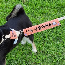 댕냥라이프 대형견 중형견 강아지 리드줄 산책 네임택 반려견 인식표 (주문제작), 티파니
