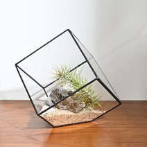 공기정화식물 틸란드시아 큐브 유리화분 DIY키트 3종, 01.블랙M 세트, 1개