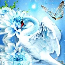 수재샵 보석십자수 우아한백조(라운드3D 전체큐빅) 50X50cm > 라인스톤큐빅(라운드)” class=”wr-img”></a></div></p></div></p></div></p></div><div class=