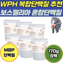 직장인 성장기 학생 대용량 WPH 복합 단백질 추출물 분리유 단백 혼합 유산균 베타글루칸 MBP 치아 mvp 운동 카제인 무릎 노인 골밀도 엠비피 부모님선물추천 락토프리 멸치탈출