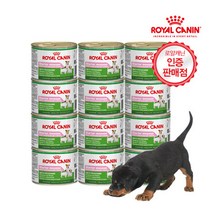 브랜드없음 로얄캐닌 미니 스타터무스 195G 12캔 (생후 2개월 까지)/ 강아지 습식사료, 단품없음, 선택완료, 선택완료