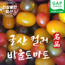 국내산 컬러 방울토마토 대추 방울토마토 1kg, 1개