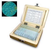 영구 프레파라트 양파표피 식물편 동물편 원형동물 현미경 표본 관찰 식물 세포 동물 혈구, 2 프레파라트(식물25종)