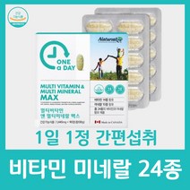 여성 멀티 비타민 미네랄 영양제 무기질 원어데이 종합 남성 b c 30대 제 칼슘 우먼 맨 엄마 아빠 온 가족 패밀리 캐나다 수입 산 식약처 인정 대용량 90정, 90정 x 1박스