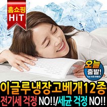 이글루 냉장고 베개 쿨 젤 아이스 베개 여름 쿨젤 냉