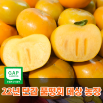 [22년 단감품평회 대상 수상] 씨없는단감 진영 부유 경남 햇 고당도 창원단감, 10kg_중(46~50내외)