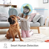 펫캠 펫cctvYI 보안 Wifi 카메라 비디오 캠 무선 홈 실내 IP 캠 앱 및 PC 시스템 인간 애완 동물 AI 호환, 02 Camera 2pc_01 EU 플러그