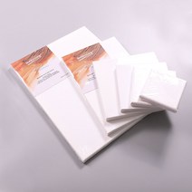 캔버스 무지캔버스액자 캠버스, 05. 캔버스20X30cm