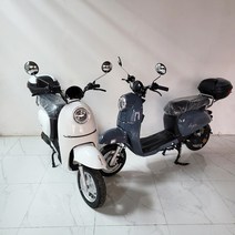 클래식 전동스쿠터 타이탄1200 60V 30A 800W, 50Ah(1회 충전 120km 주행가능), 화이트