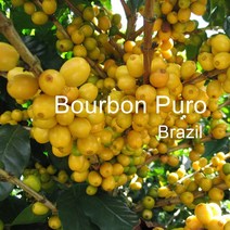 [위트러스트] 브라질 부루봉 푸루 200g Brazil Bourbon Puro/ 스페셜티 커피 원두, 홀빈