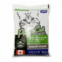프락티캣 사과향 고양이모래 배변모래 10L 2개, 상세페이지 참조, 상세페이지 참조