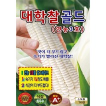 (씨앗) 대학찰골드옥수수 (연농3호) 백찰옥수수 씨앗 종자 - 텃밭용 소포장 - 70립, 1개