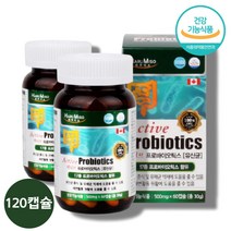 람노스 루테리 식물성 유산균 스트렙토코쿠스 프로바이오 스틱 스 틱스 유상균 유신균 락토바실러스 람노서스 캡슐 100억, 유산균 2병