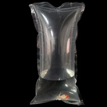 블루벨벳새우 뱀파이어크랩 안전 포장비닐 에어케이스, 4피쉬비닐20X35cm10개