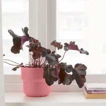 이케아 푀렌리그 화분 실내외겸용 핑크 12cm