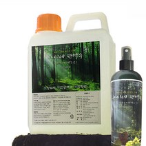 파피샵 차씨네 편백수 4L+500ml 은은한 편백수원액 피톤치드 탈취제