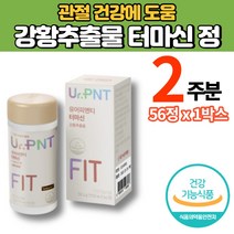 터마신 수용성 인도산 강황추출물 선인장열매 농축분말 해조칼슘 40대 50대 60대 70대 남성 여성 노인 관절 연골 영양제, 1박스