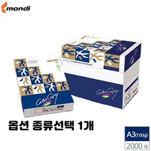 레이저 프린터용 A4 A3 복사 에이포 용지 100g 135g 160g 90g 미색 유광 백색 종류선택 1개, A3 미색 100g 2000매