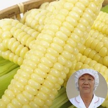 톡톡터지는 최상품 특A괴산대학찰옥수수/황금맛찰/생물 냉동2가지, 생물 대학찰옥수수15개