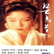 문희옥-골든(2CD)/트로트/트롯/가요/음반/사랑의거리/강남멋장이/성은김이요/사은품CD증정