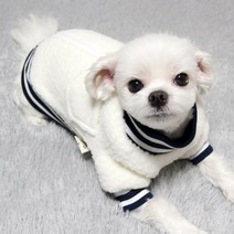 도기코디 양털 집업 강아지 점퍼, 남색