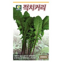 수세미 10립 수세미씨앗 수세미씨 스무드루파 시누아 채소씨 채소씨앗 야채씨앗 야채씨, 26_다농_적치커리(2000립)