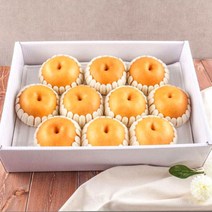 나주배 설날 과일선물세트 7.5kg(11-12과) 신고배 겨울, 나주신고배 7.5kg(11-12과)