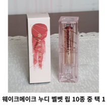 웨이크메이크 누디 벨벳 립 10종 중 택 1 / 웨이크메이크립스틱 웨이크메이크벨벳립스틱 벨벳립스틱, 10 클래시 레드