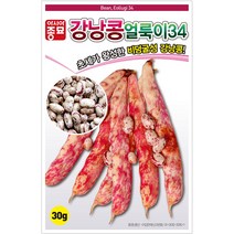 아시아종묘 강낭콩씨앗 콩씨앗 얼룩이34강낭콩 (30g)