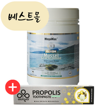 [해외] 메가맥스 초록홍합 초록입홍합 글루코사민 500캡슐 뉴질랜드 베스트몰 직송, 1개, 500개