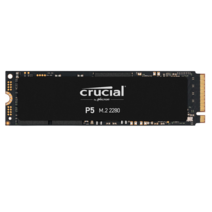 마이크론 Crucial P5 M.2 NVMe 대원CTS (1TB)