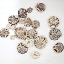 몰드몰 동글 조개첨가물[4개입] _ 젤캔들첨가물 디퓨저첨가물