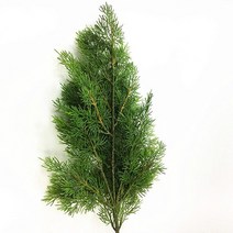 인공 초록색 그린 노송 나무 잎 소나무 바늘 지점 웨딩 가정용 사무실 호텔 장식 사진 촬영 소품 조화 식물, [01] L, [01] Pine Needle Lees