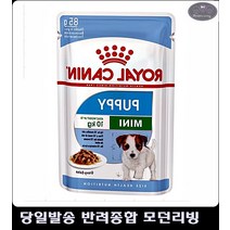 효과 소형견 사료 면연력 기능 유지 푸들사료추천 강아지잘먹는사료 7개월강아지사료