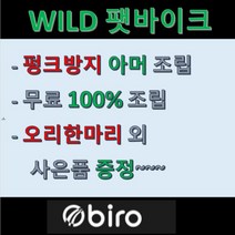 재고전화문의 필수 / 2022BIRO 바이로전기자전거 Wild S/A 팻바이크 후륜구동 PAS전용_20인치_14Ah