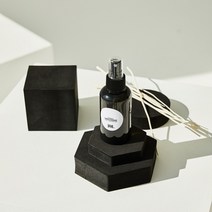 러쉬 Type 룸 & 패브릭퍼퓸 차량용 섬유스프레이 80ml 100ml 120ml 250ml 비아퍼퓸 로즈잼 더티 트와일라잇 바닐라리 대디오 아메리칸크림 카마 가디언오브더포레스트, 100ml (클리어), 가디언 오브 더 포레스트 NEW, 1개