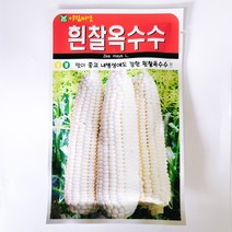흰찰옥수수 30g