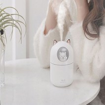 비염가습기 가성비가습기 간이가습기 리필용필터(1P)