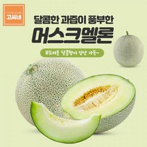 고씨네 프리미엄 멜론6kg 멜론과일 국산메론 멜론, 본상품