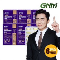 기억력 알티지오메가3 DHA 60캡슐 x 6박스/ 1일 EPA+DHA 1 000mg, 상세설명 참조, 01.단일상품