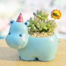 ROOGO 루고 다육이 미니화분 작은 자연 하마 (다육식물 불포함)