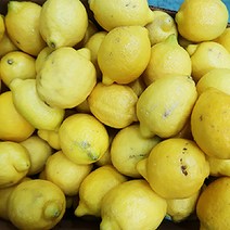 실속못난이 기스흠집 정품팬시 140과 미국 레몬 (중과120g내외), 140입, 중과120g
