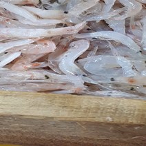 김장용 생새우 동백하 1kg