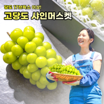 상주샤인머스켓 특품 1.3kg