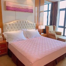 순잠 SOONZAM 프리미엄 쑥 항균 침대 토퍼, 핑크