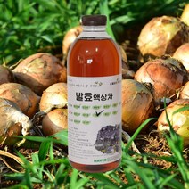자연미가 양파 효소액 1000mlx1병 /ss 자연숙성 발효액100%, 1000ml x1병, 1개