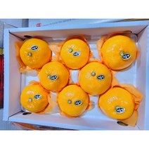 제주 선물용 프리미엄 천혜향(특품)!!!, (8~9과) 찐맛 제주 천혜향(특품), 1) 3kg 미만