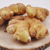 푸르젠 서산직송! 흙생강/토종생강 1kg 10kg, 04번 흙생강 5kg