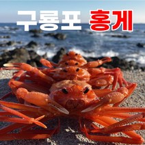 [렛츠팜] 꽉찬 고급 홍게 포항 구룡포 자숙홍게 연지 박달 정품 수율보장 70~80% 이상 산지직송, 일반 자숙홍게 (수율 50% 내외)